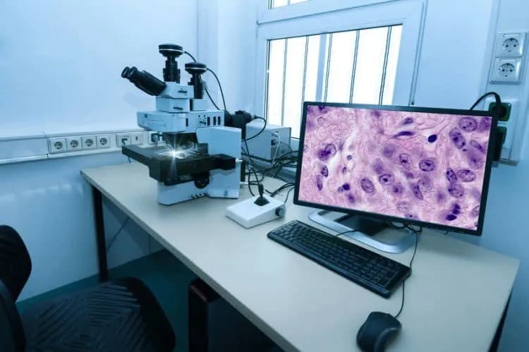 Jak długo trwa badanie immunohistochemiczne? Poznaj ważne informacje