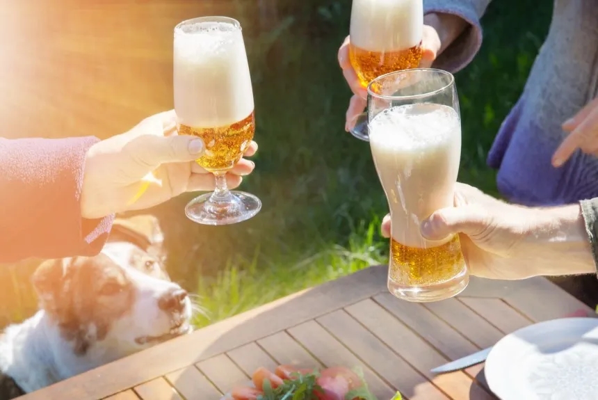 Czy pies może pić alkohol? Dowiedz się, jak to wpływa na zdrowie psa