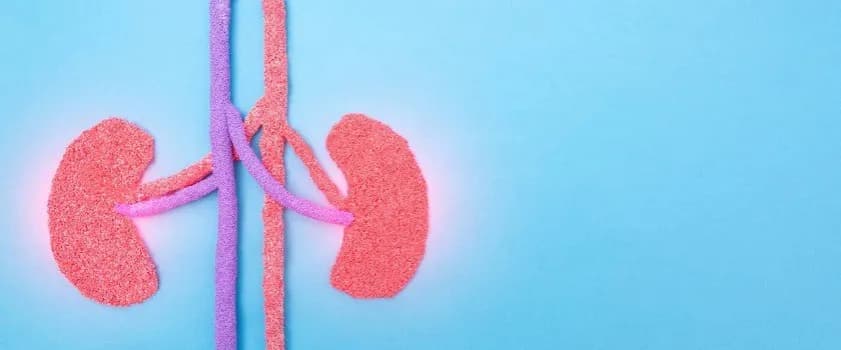 Czy można pić alkohol przy kamicy nerkowej? Unikaj poważnych zagrożeń