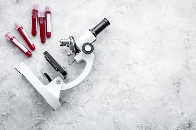 Podwyższony poziom bazocytów: co to oznacza dla zdrowia?